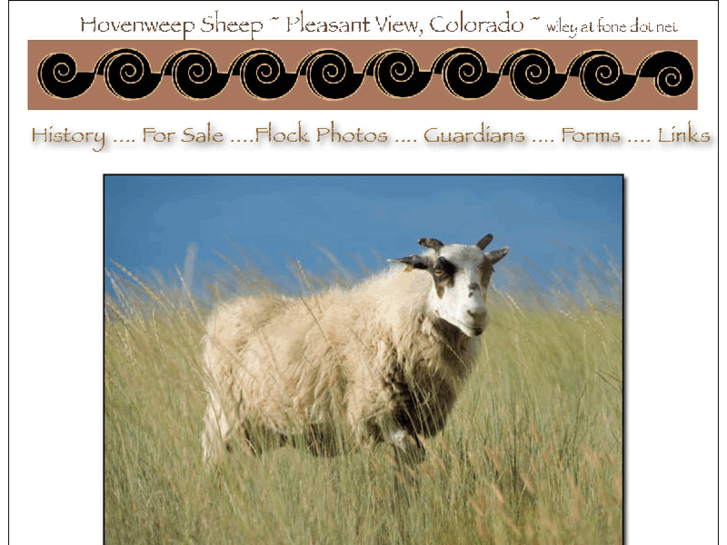 www.hovenweepsheep.com