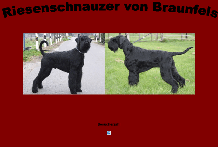 www.riesenschnauzer-braunfels.com