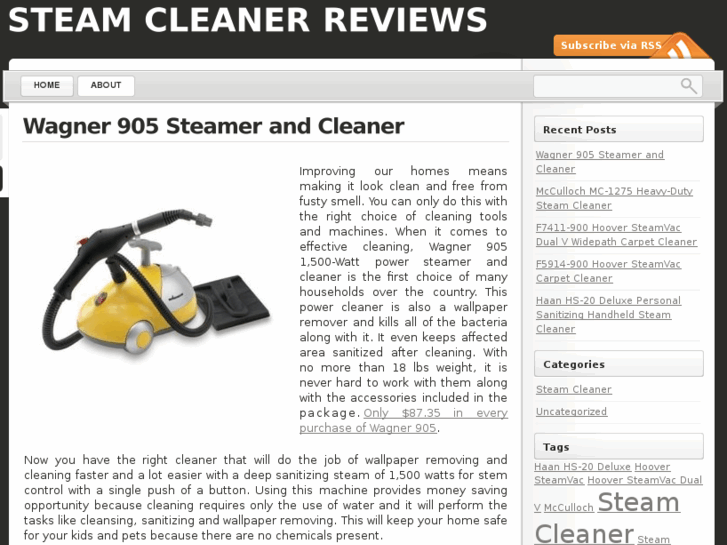 www.steamcleanerreviews.com