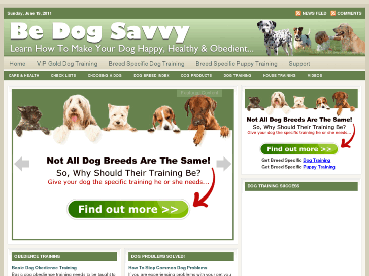 www.bedogsavvy.com