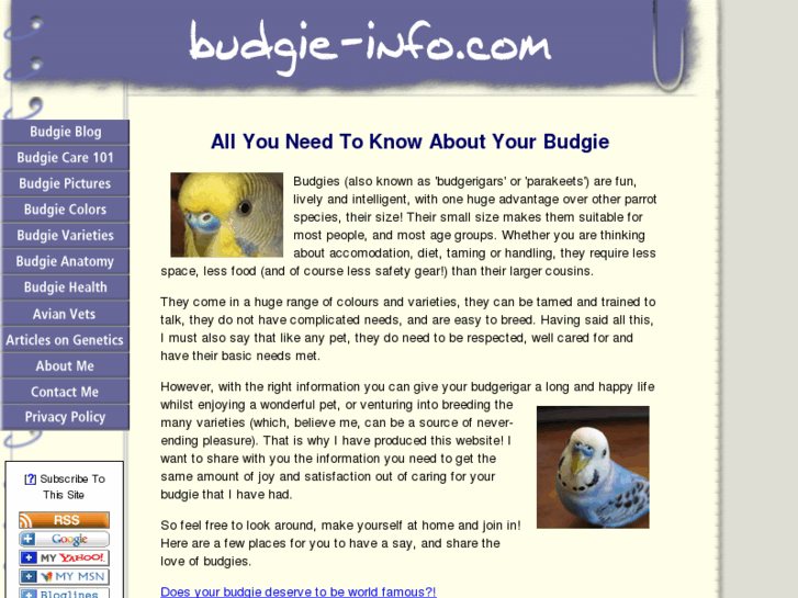 www.budgie-info.com