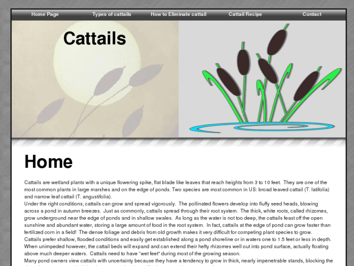 www.cattails.info