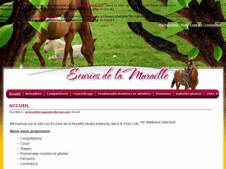 www.centre-equestre-du-tsar.com