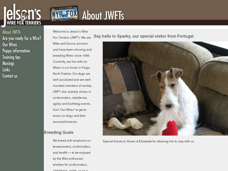 www.jelsonswirefoxterriers.com