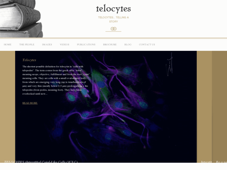 www.telocytes.com