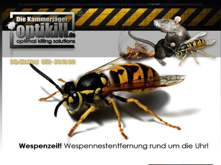 www.wespennest-entfernen24.de