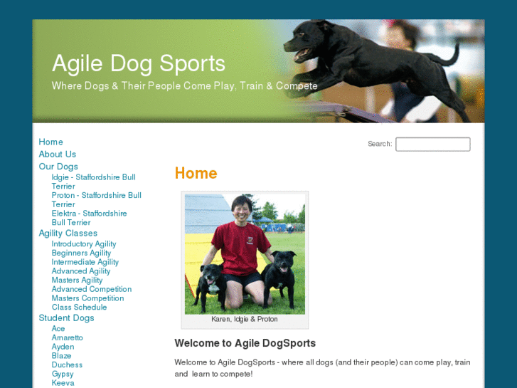 www.agiledogsports.com