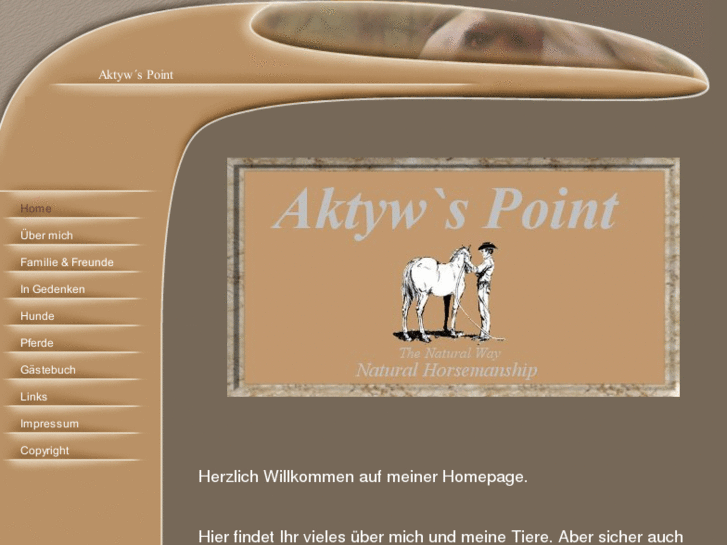 www.aktywspoint.net