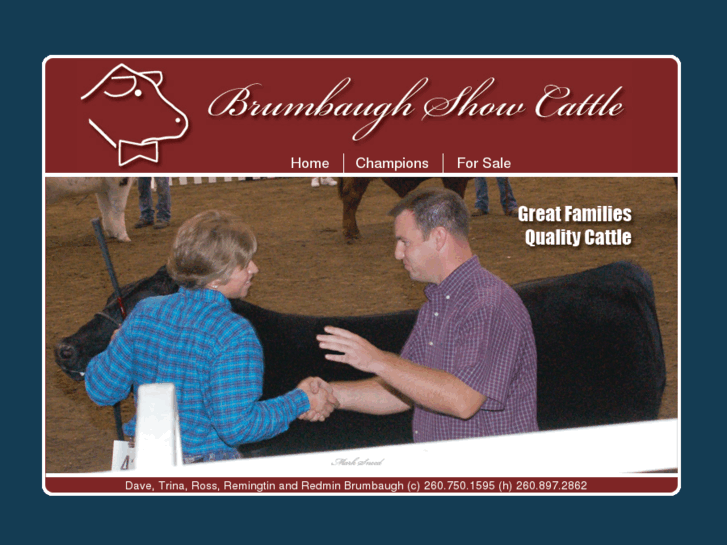 www.brumbaughshowcattle.com