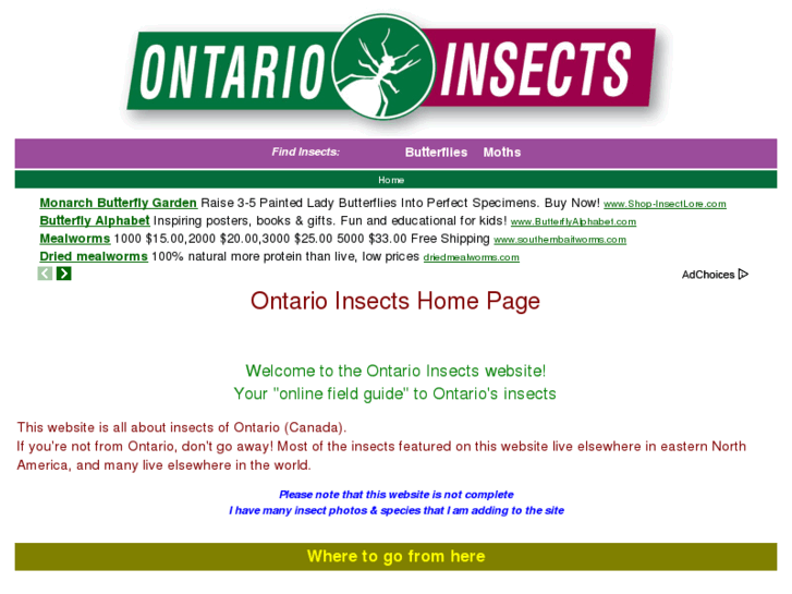 www.ontariobutterflies.com