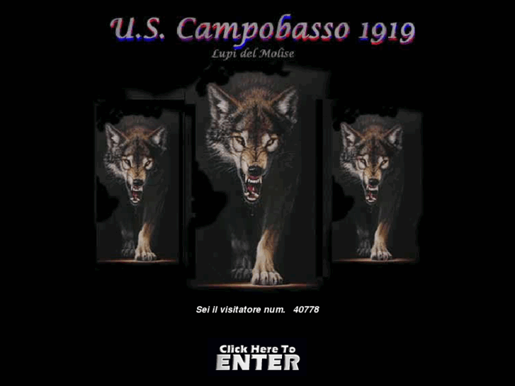 www.uscampobasso1919.it