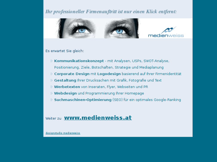 www.werbeagentur-steyr.com