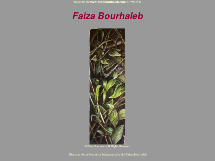 www.faizabourhaleb.com