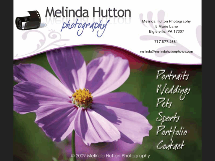 www.melindahuttonphotos.com