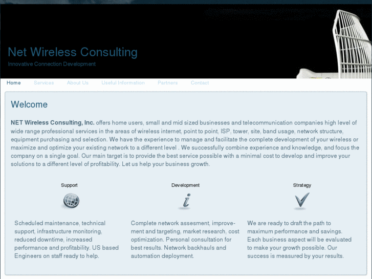 www.netwirelessconsulting.com