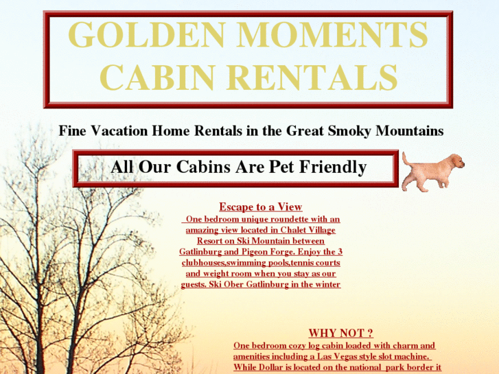 www.smokymtcabinrentals.com