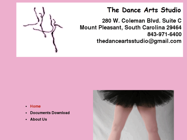 www.thedanceartsstudio.com