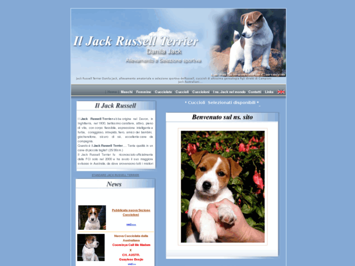 www.jackrussellterrier.it