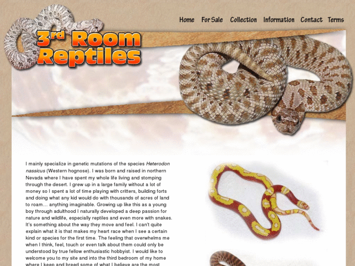 www.3rdroomreptiles.com