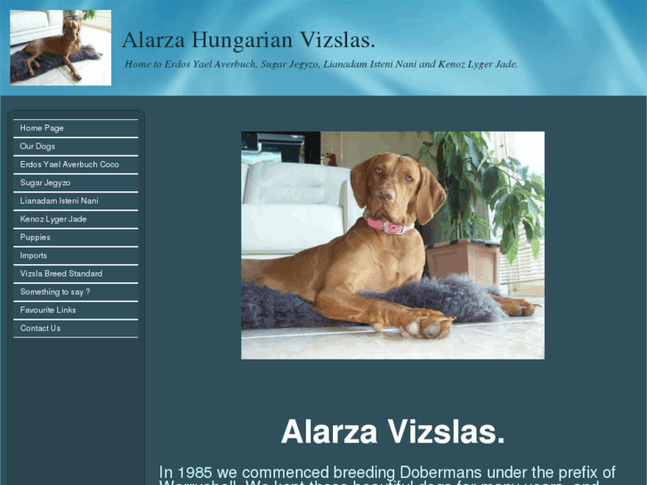 www.alarzavizslas.com