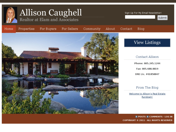 www.allisoncaughell.com