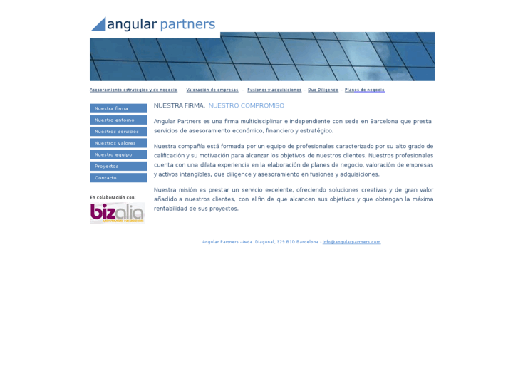 www.angularpartners.com