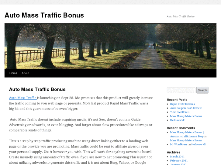 www.automasstrafficreviewbonus.com