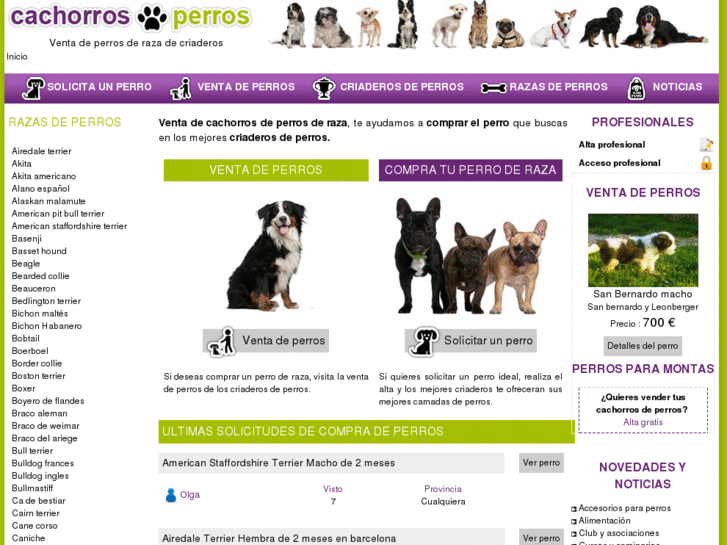 www.cachorrosdeperros.es