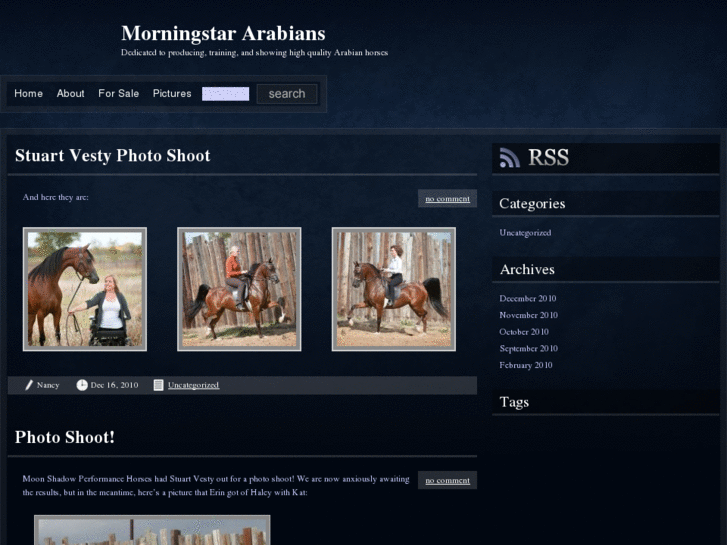 www.morningstararabians.com