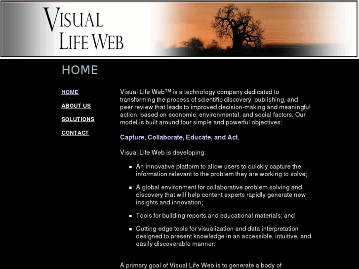 www.visuallifeweb.com