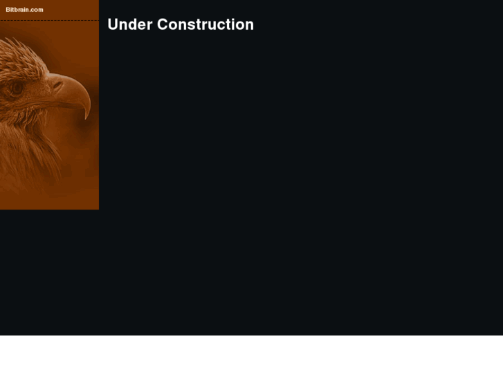 www.bitbrain.com