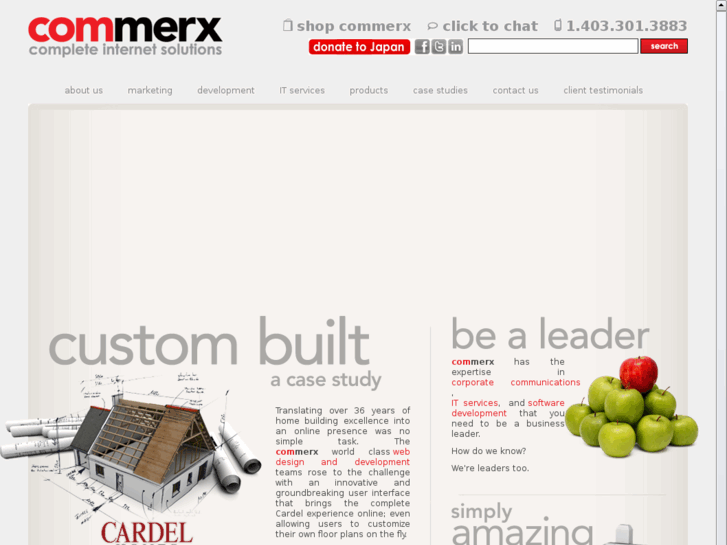 www.edmontonwebdevelopment.net
