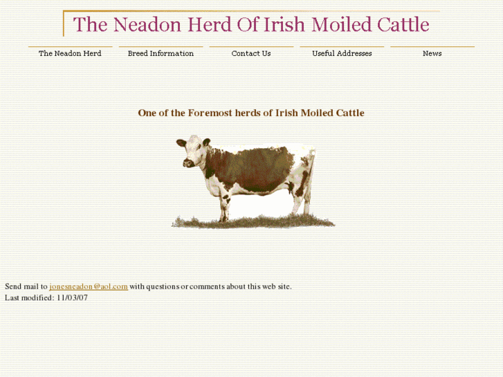 www.irishmoiledcattle.com