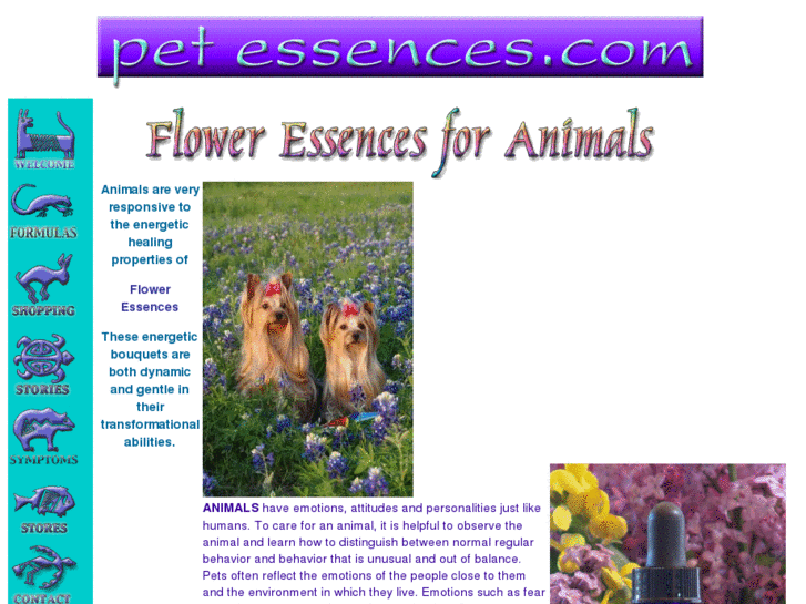 www.petessences.com
