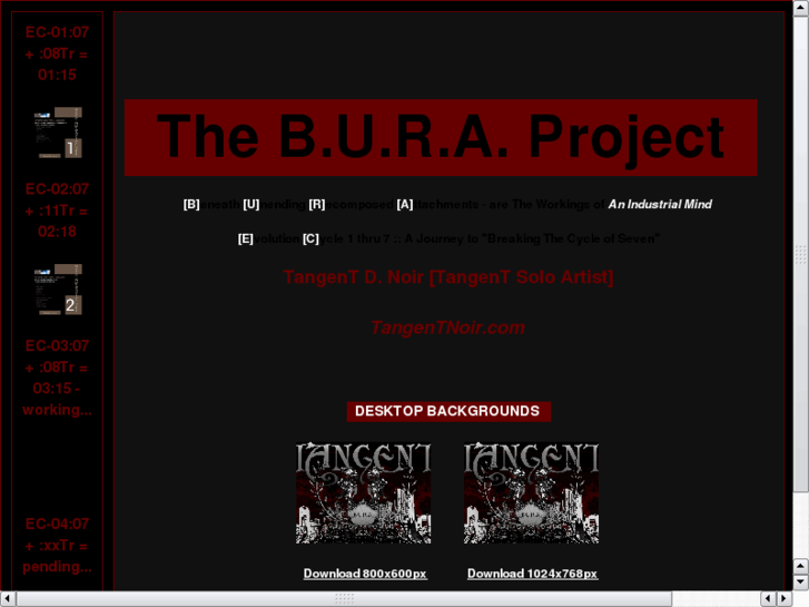 www.theburaproject.com