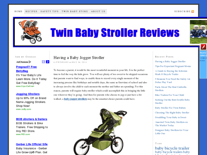 www.twinbabystrollerreviews.com