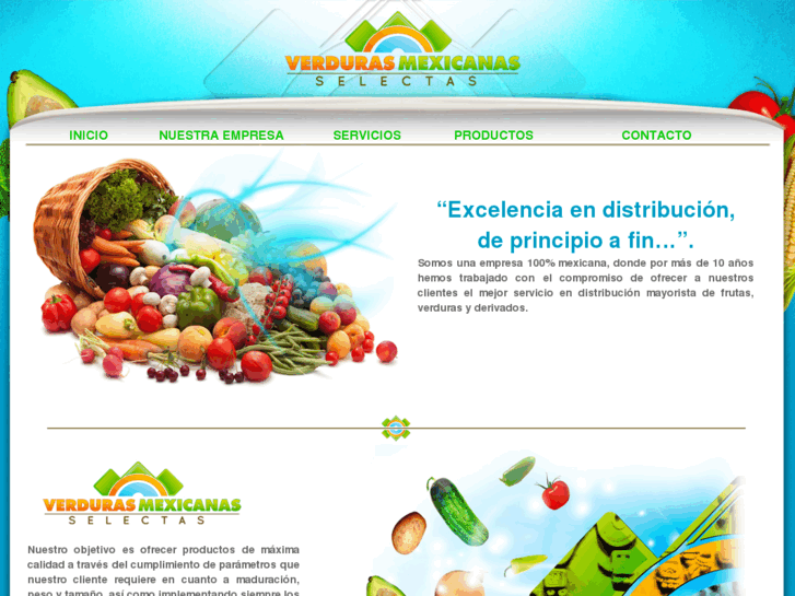 www.ve-mex.com