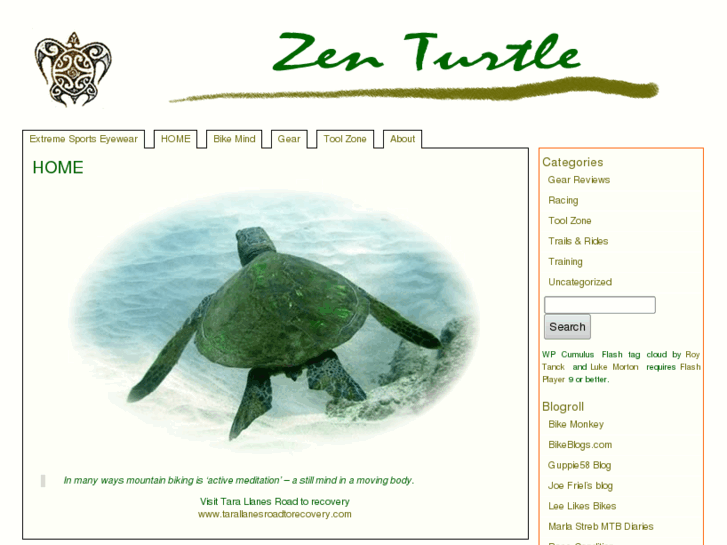 www.zenturtle.net