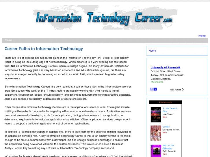 www.informationtechnologycareer.com