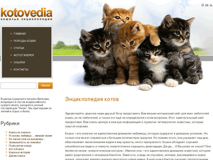 www.kotovedia.ru