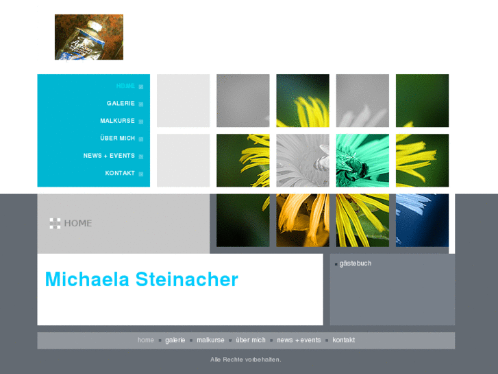 www.michaelasteinacher.com