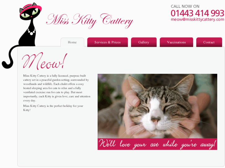 www.misskittycattery.com