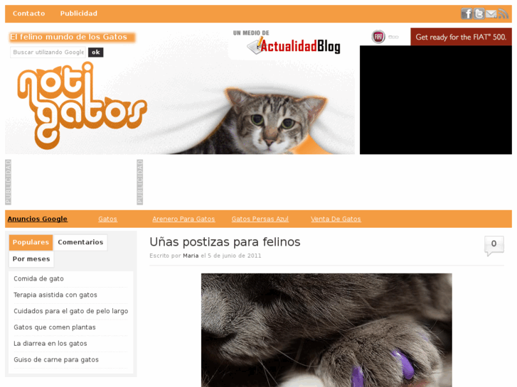 www.notigatos.es