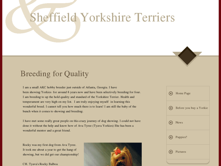 www.sheffieldyorkies.com