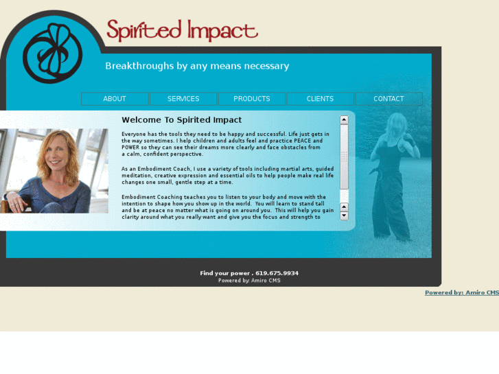 www.spiritedimpact.com