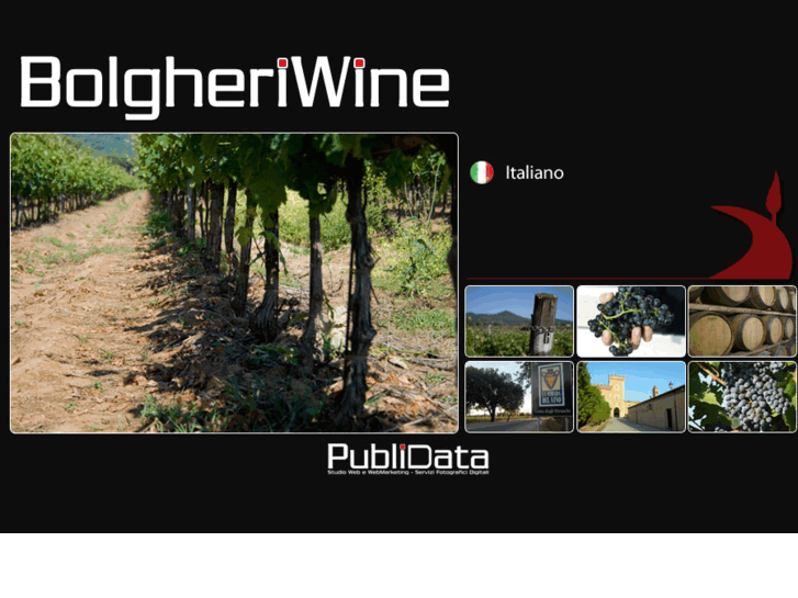 www.bolgheriwine.eu