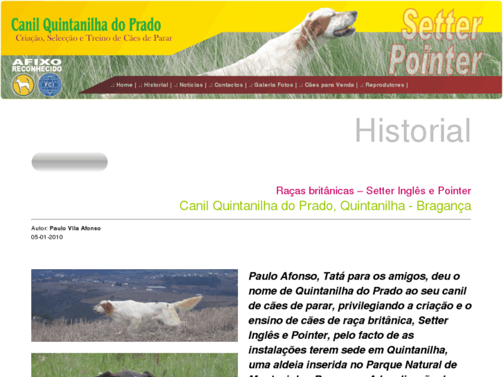 www.canilquintanilha.com