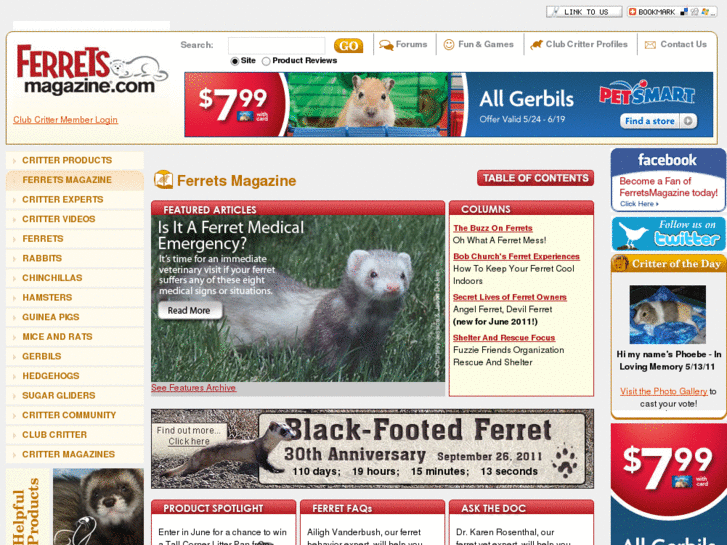 www.ferretchannel.com