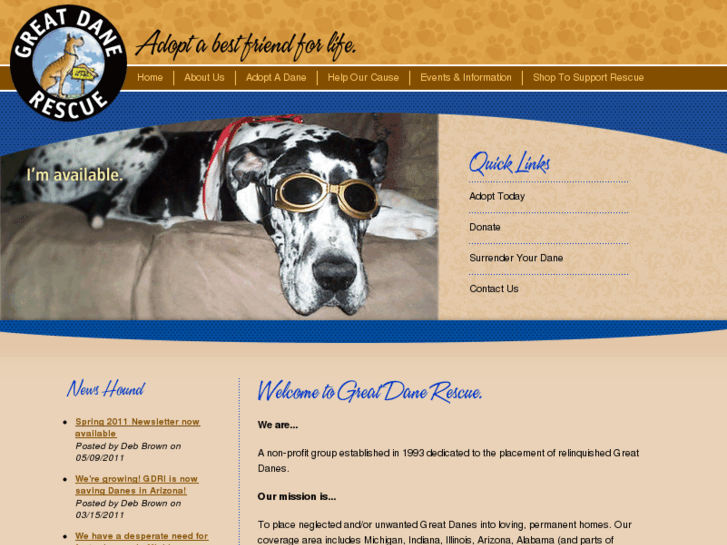 www.greatdanerescueinc.com