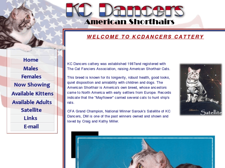 www.kcdancers-cats.com